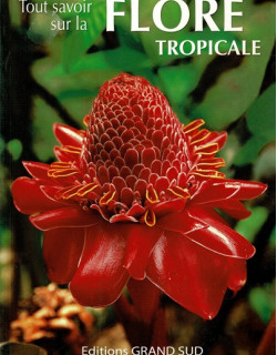 TOUT SAVOIR SUR LA FLORE TROPICALE - 2006