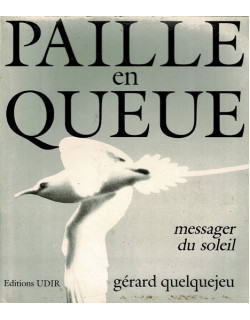 PAILLE EN QUEUE - GERARD QUELQUEJEU -1986