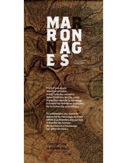 CARTE DU MARRONNAGE A LA REUNION - 2017