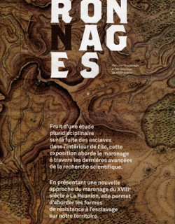 CARTE DU MARRONNAGE A LA REUNION - 2017