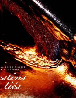 LA CANNE A SUCRE & LA REUNION - DESTINS LIES - STELLA MATUTINA - 2002
