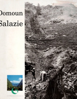 DOMOUN SALAZIE - EXPOSITION DE MARE A POULE D'EAU - 1996