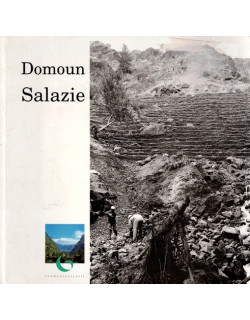 DOMOUN SALAZIE - EXPOSITION DE MARE A POULE D'EAU - 1996 DOMOUN SALAZIE - EXPOSITION DE MARE A POULE D'EAU - 1996