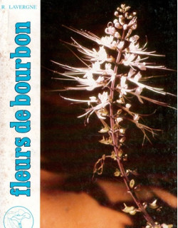 FLEURS DE BOURBON TOME 10 - ROGER LAVERGNE - 1990