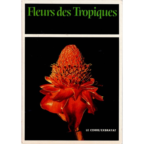 FLEURS DES TROPIQUES - GILDAS LE CORRE - 1986