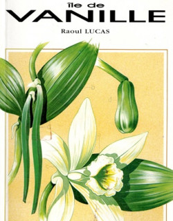 ÎLE DE LA VANILLE - LA REUNION - RAOUL LUCAS - 1990