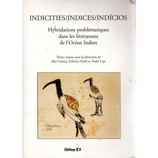 HYBRIDATIONS PROBLEMATIQUES DANS LES LITTERATURES DE L'OCEAN INDIEN -2010
