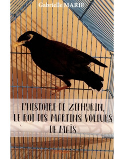 L'HISTOIRE DE ZEPHYRIN, LE ROI DES MARTINS VOLEURS DE MAÏS - GABRIELLE MARIE - 2017