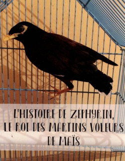 L'HISTOIRE DE ZEPHYRIN, LE ROI DES MARTINS VOLEURS DE MAÏS - GABRIELLE MARIE - 2017