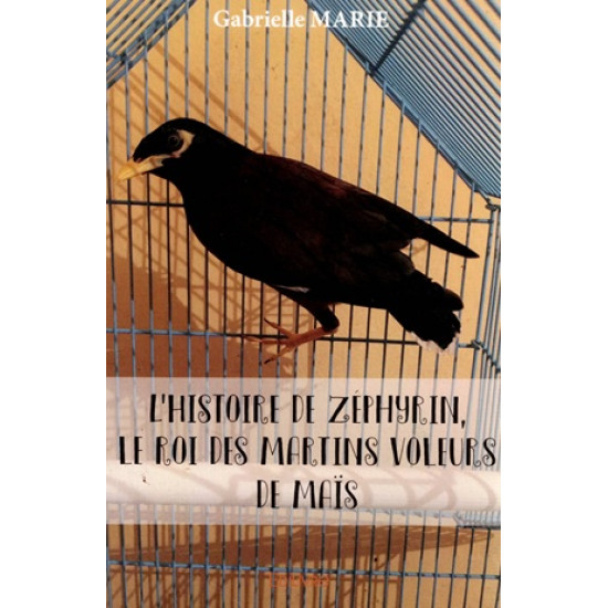 L'HISTOIRE DE ZEPHYRIN, LE ROI DES MARTINS VOLEURS DE MAÏS - GABRIELLE MARIE - 2017