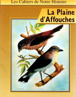LA PLAINE D'AFFOUCHES - N°16 - 1990