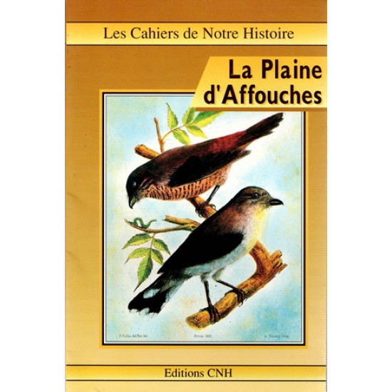 LA PLAINE D'AFFOUCHES - N°16 - 1990
