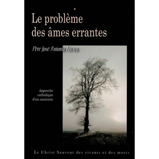 LE PROBLEME DES ÂMES ERRANTES - APPROCHE CATHOLIQUE D'UN EXORCISTE - PERE FORTEA - 2009