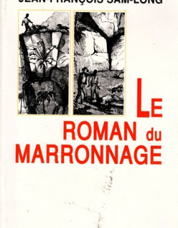 LE ROMAN DU MARRONNAGE - JEAN-FRANCOIS SAMLONG -1990
