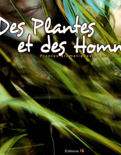 DES PLANTES ET DES HOMMES - PLANTES AROMATIQUES ET MEDICINALES DE LA REUNION - 2009