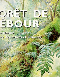 FORET DE BEBOUR - GUIDE NATURE -  ROGER LAVERGNE - 2003