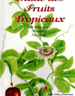 GUIDE DES FRUITS TROPICAUX - LA REUNION - MAURICE - MAYOTTE - JEAN-MAX HOAREAU - 1995