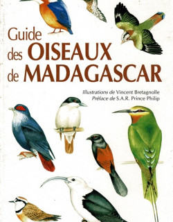 GUIDE DES OISEAUX DE MADAGASCAR - OLIVIER LANGRAND - 1995