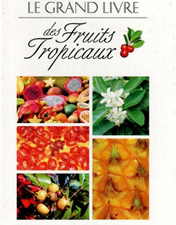 LE GRAND LIVRE DES FRUITS TROPICAUX - F. LE BELLEC - V. RENARD - 2001