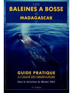 LES BALEINES A BOSSE A MADAGASCAR - MICHEL VELY - 2000