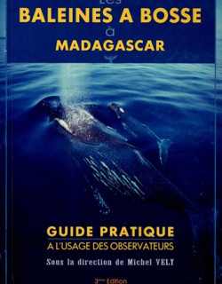 LES BALEINES A BOSSE A MADAGASCAR - MICHEL VELY - 2000