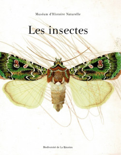 LES INSECTES - MUSEUM D'HISTOIRE NATURELLE - 2008
