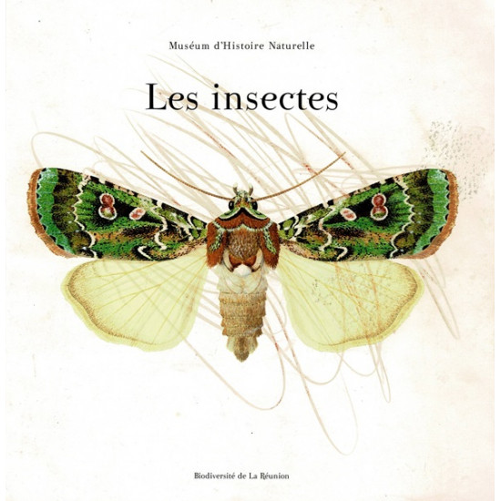 LES INSECTES - MUSEUM D'HISTOIRE NATURELLE - 2008