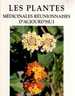LES PLANTES MEDICINALES REUNIONNAISES D'AUJOURD'HUI - ROGER LAVERGNE - 2004