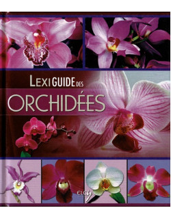 LEXIGUIDE DES ORCHIDEES