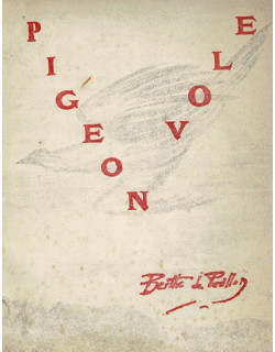 PIGEON VOLE - BERTHE DE PAVILLON -1977