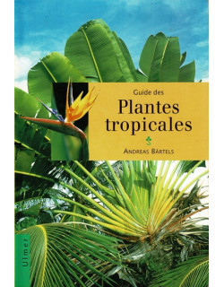 PLANTES TROPICALES