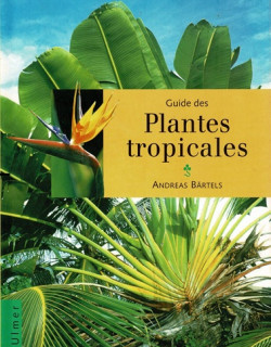 PLANTES TROPICALES