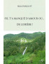 S'IL T'A MANQUE D'AMOUR OU DE LUMIERE - MICHEL MAILLOT - 2013