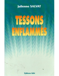 TESSONS ENFLAMMES - JULIENNE SALVAT - 1992