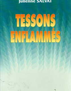 TESSONS ENFLAMMES - JULIENNE SALVAT - 1992