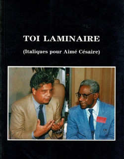 TOI LAMINAIRE - EDOUARD MAUNICK - 1990