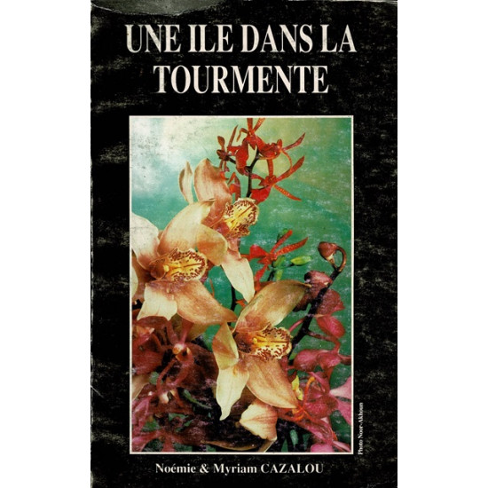 UNE ILE DANS LA TOURMENTE - NOEMIE ET MYRIAM CAZALOU - 1994