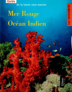 MER ROUGE OCEAN INDIEN - GUIDE LA FAUNE SOUS-MARINE - WERNER BAUMEISTER - 1997