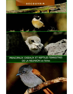 PRINCIPAUX OISEAUX ET REPTILES TERRESTRES DE LA REUNION EN 8 FICHES - ONF - 2000