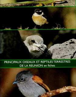 PRINCIPAUX OISEAUX ET REPTILES TERRESTRES DE LA REUNION EN 8 FICHES - ONF - 2000 PRINCIPAUX OISEAUX ET REPTILES TERRESTRES DE LA REUNION EN 8 FICHES - ONF - 2000